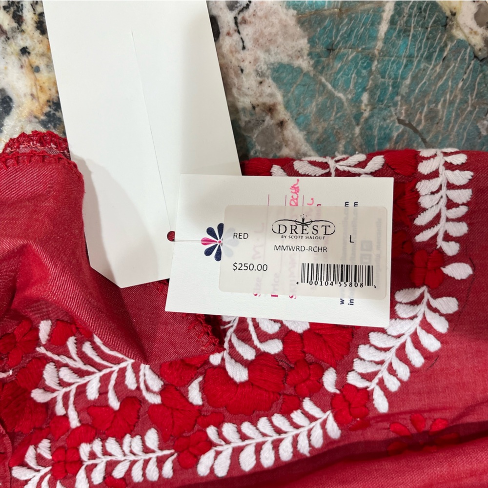 Chic Red Embroidered Mini Dress - Picture 4 of 4